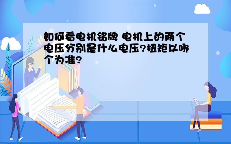 如何看电机铭牌 电机上的两个电压分别是什么电压?扭矩以哪个为准?