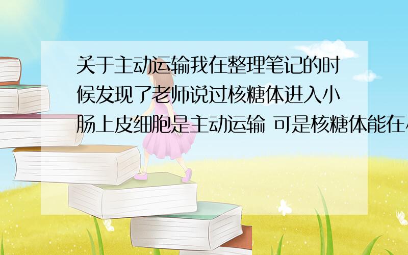 关于主动运输我在整理笔记的时候发现了老师说过核糖体进入小肠上皮细胞是主动运输 可是核糖体能在小肠里出现么?