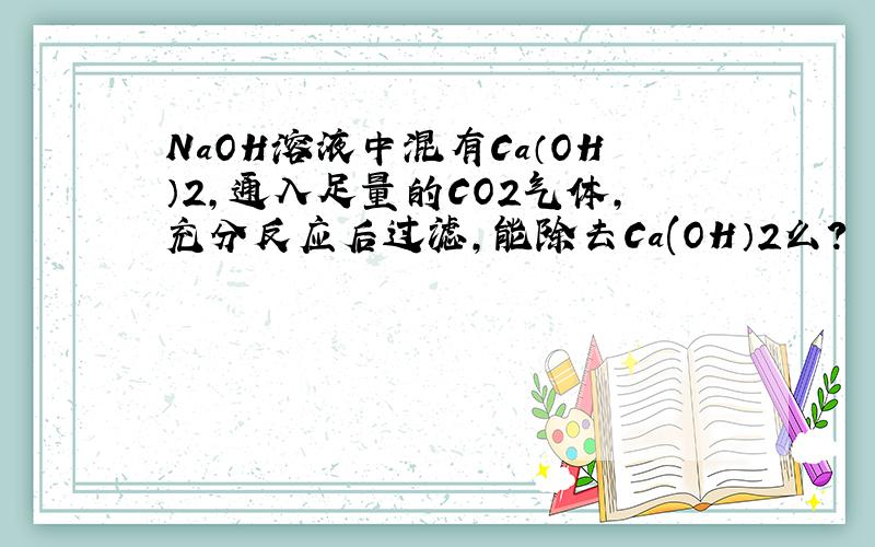 NaOH溶液中混有Ca（OH）2,通入足量的CO2气体,充分反应后过滤,能除去Ca(OH）2么?