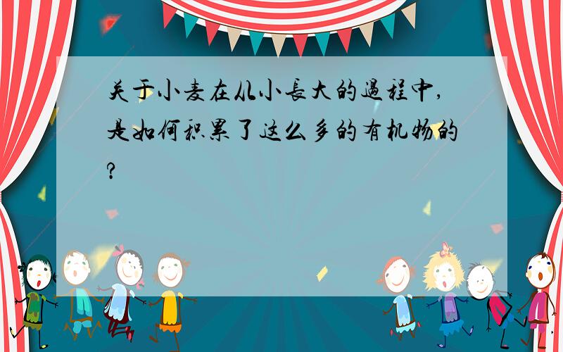 关于小麦在从小长大的过程中,是如何积累了这么多的有机物的?