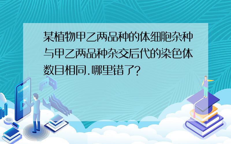 某植物甲乙两品种的体细胞杂种与甲乙两品种杂交后代的染色体数目相同.哪里错了?