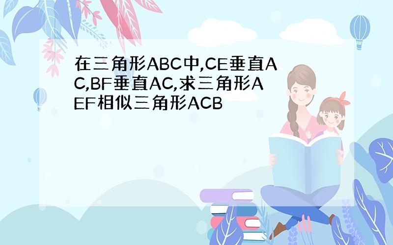 在三角形ABC中,CE垂直AC,BF垂直AC,求三角形AEF相似三角形ACB