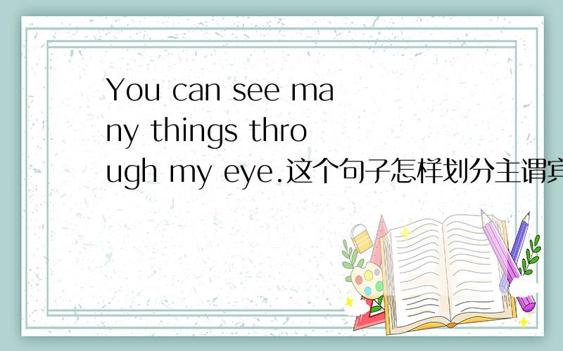 You can see many things through my eye.这个句子怎样划分主谓宾表状?3Q