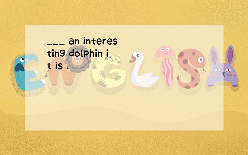 ___ an interesting dolphin it is .