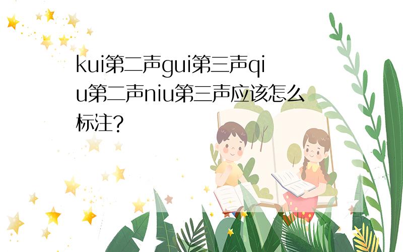 kui第二声gui第三声qiu第二声niu第三声应该怎么标注?