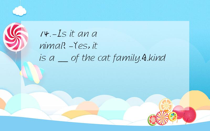 14.-Is it an animal?-Yes,it is a ＿＿ of the cat family.A.kind