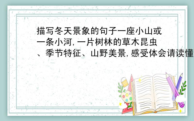 描写冬天景象的句子一座小山或一条小河,一片树林的草木昆虫、季节特征、山野美景,感受体会请读懂题坚决不要诗句追加悬赏20草