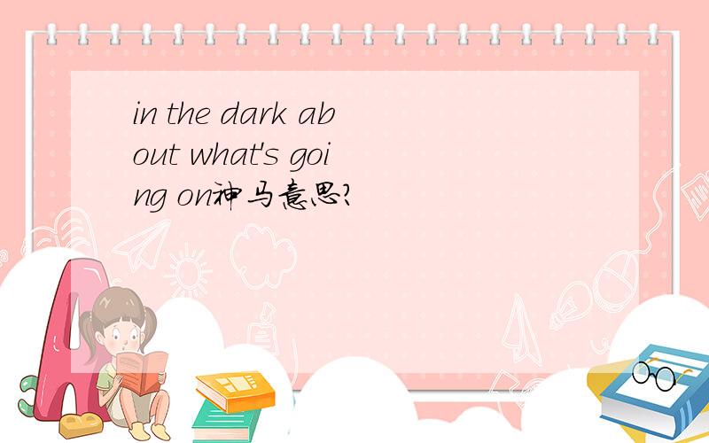 in the dark about what's going on神马意思?