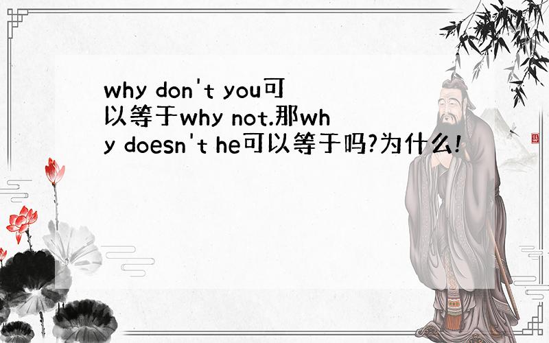 why don't you可以等于why not.那why doesn't he可以等于吗?为什么!