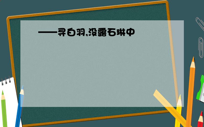 ——寻白羽,没露石琳中