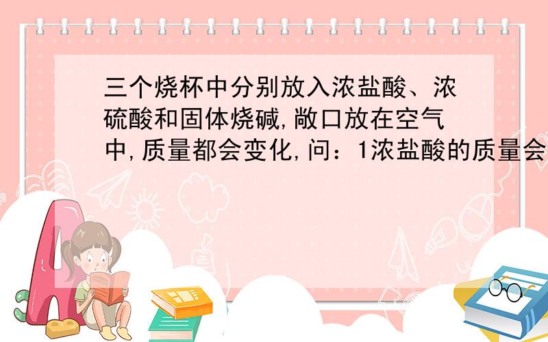 三个烧杯中分别放入浓盐酸、浓硫酸和固体烧碱,敞口放在空气中,质量都会变化,问：1浓盐酸的质量会（）原