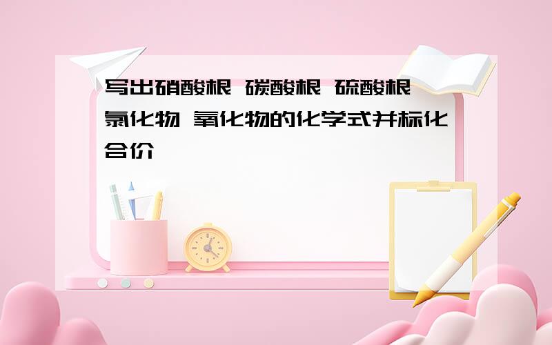 写出硝酸根 碳酸根 硫酸根 氯化物 氧化物的化学式并标化合价