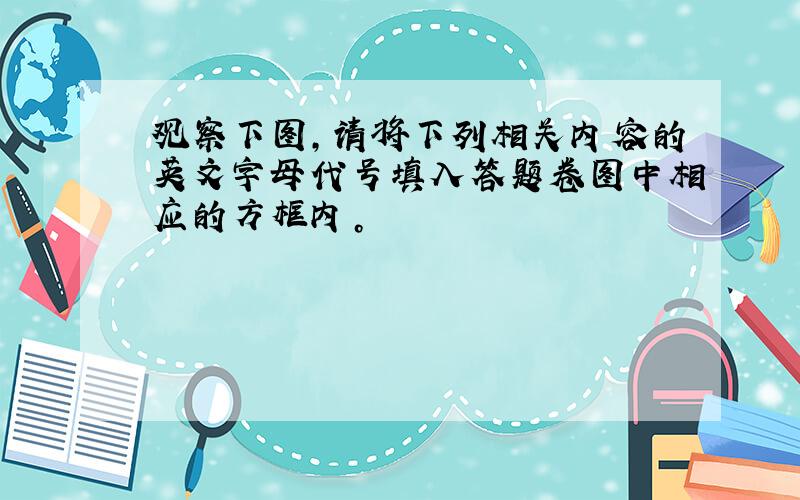 观察下图，请将下列相关内容的英文字母代号填入答题卷图中相应的方框内。