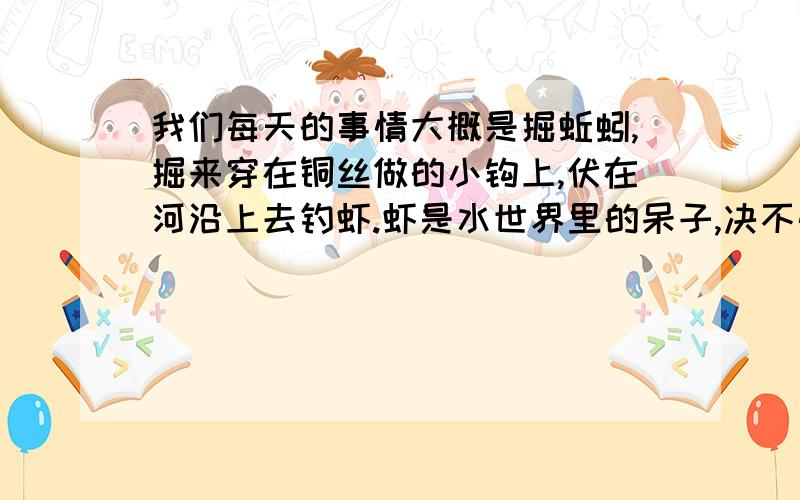 我们每天的事情大概是掘蚯蚓,掘来穿在铜丝做的小钩上,伏在河沿上去钓虾.虾是水世界里的呆子,决不惮用了自己的两个钳捧着钩尖