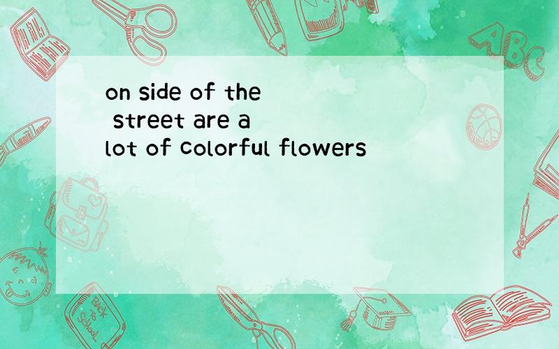 on side of the street are a lot of colorful flowers