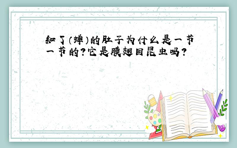 知了（蝉）的肚子为什么是一节一节的?它是膜翅目昆虫吗?