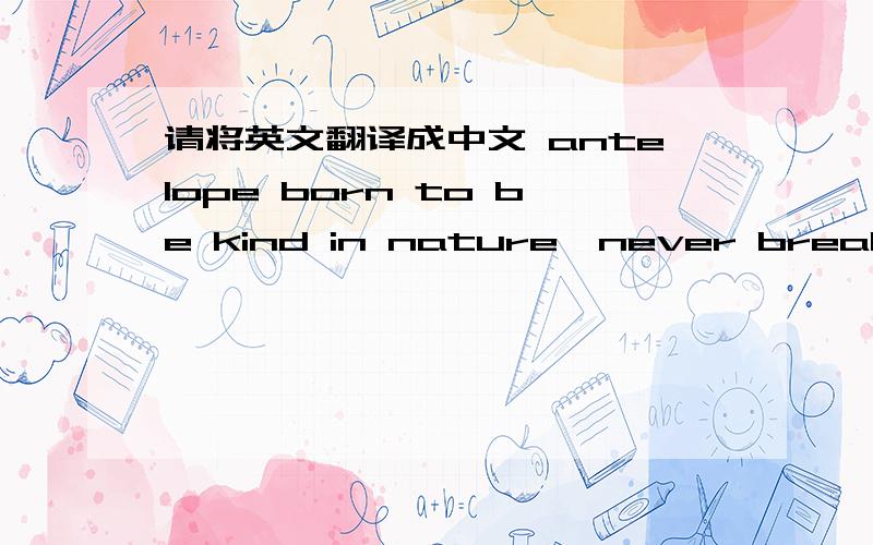 请将英文翻译成中文 antelope born to be kind in nature,never break his