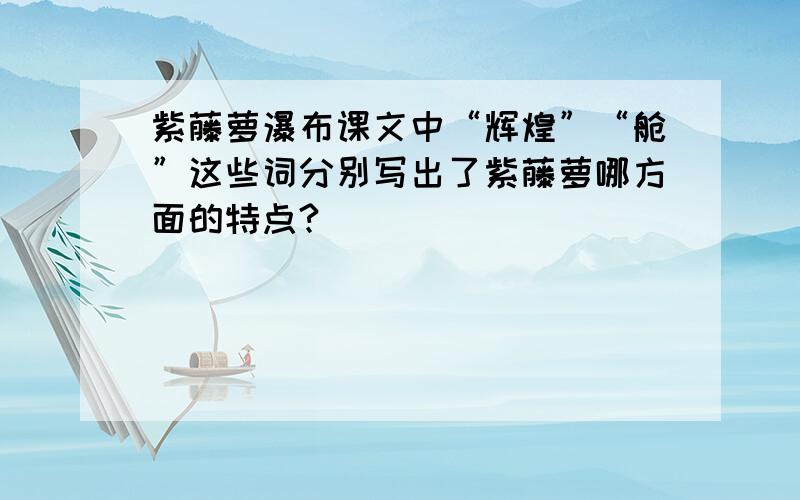 紫藤萝瀑布课文中“辉煌”“舱”这些词分别写出了紫藤萝哪方面的特点?