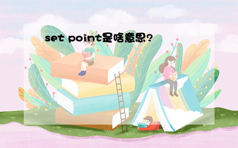 set point是啥意思?