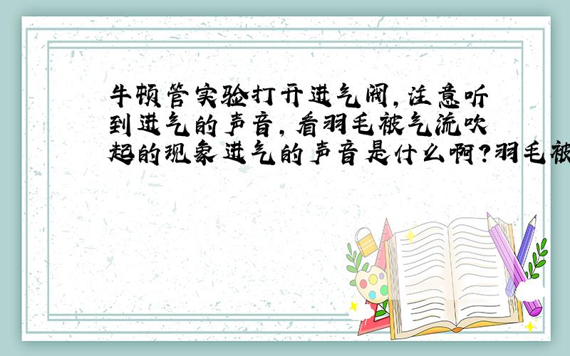 牛顿管实验打开进气阀,注意听到进气的声音,看羽毛被气流吹起的现象进气的声音是什么啊?羽毛被气流吹起的现象又是什么啊?为什