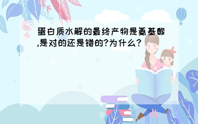 蛋白质水解的最终产物是氨基酸,是对的还是错的?为什么?