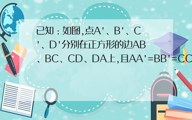 已知：如图,点A'、B'、C'、D'分别在正方形的边AB、BC、CD、DA上,且AA'=BB'=CC'=DD'.求证：四