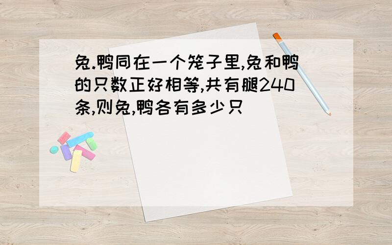 兔.鸭同在一个笼子里,兔和鸭的只数正好相等,共有腿240条,则兔,鸭各有多少只