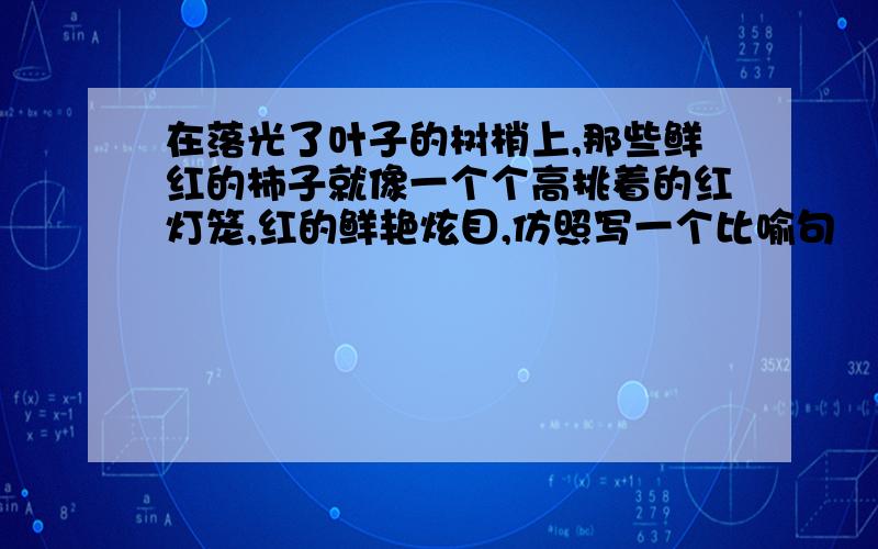 在落光了叶子的树梢上,那些鲜红的柿子就像一个个高挑着的红灯笼,红的鲜艳炫目,仿照写一个比喻句