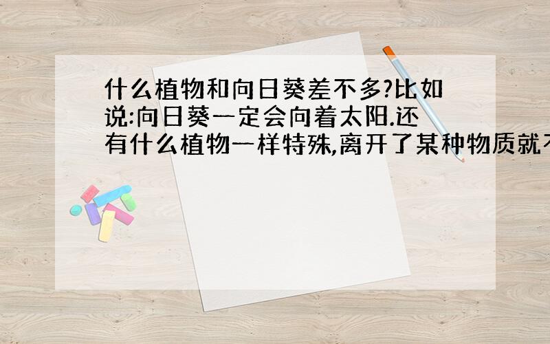 什么植物和向日葵差不多?比如说:向日葵一定会向着太阳.还有什么植物一样特殊,离开了某种物质就不能存活?