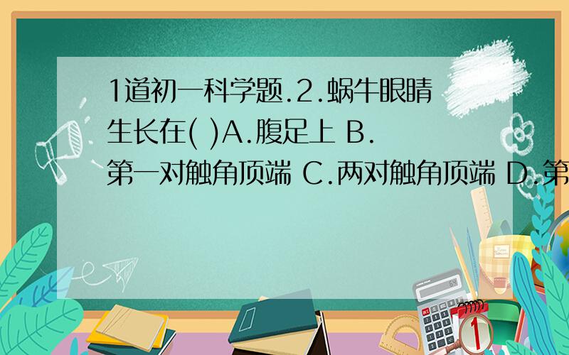 1道初一科学题.2.蜗牛眼睛生长在( )A.腹足上 B.第一对触角顶端 C.两对触角顶端 D.第二对触角顶端 为什么不是