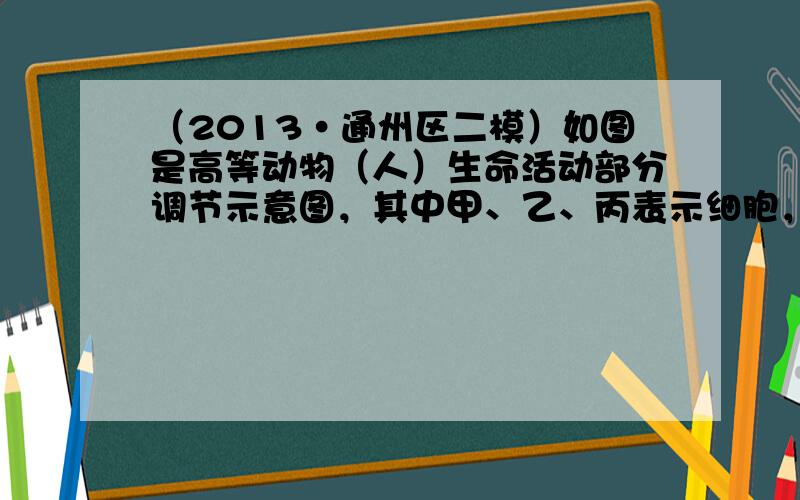 （2013•通州区二模）如图是高等动物（人）生命活动部分调节示意图，其中甲、乙、丙表示细胞，①～③表示相关过程，X、Y、