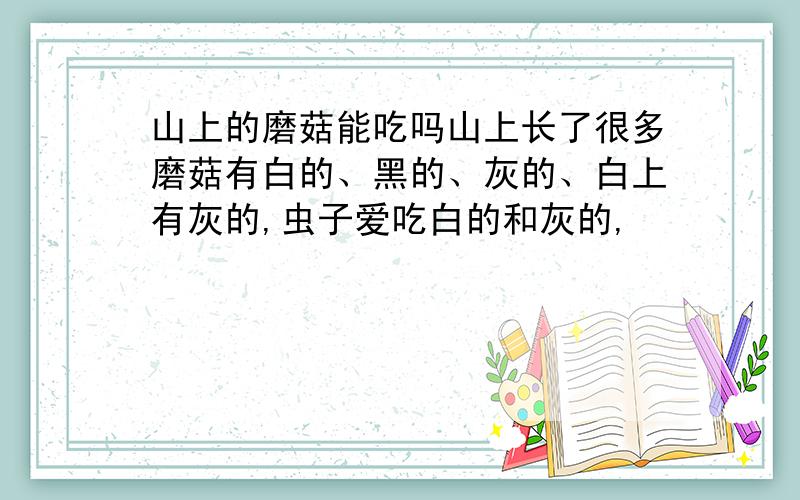 山上的磨菇能吃吗山上长了很多磨菇有白的、黑的、灰的、白上有灰的,虫子爱吃白的和灰的,