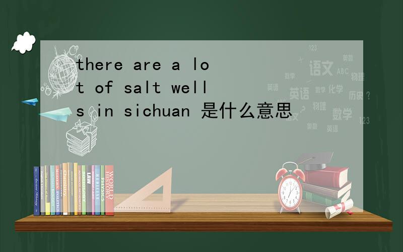 there are a lot of salt wells in sichuan 是什么意思