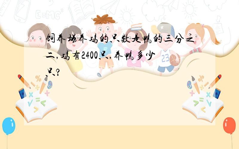 饲养场养鸡的只数是鸭的三分之二,鸡有2400只,养鸭多少只?