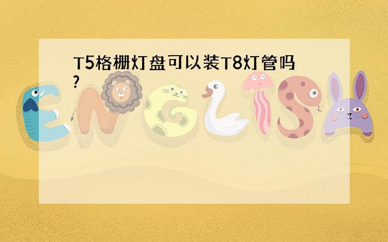 T5格栅灯盘可以装T8灯管吗?