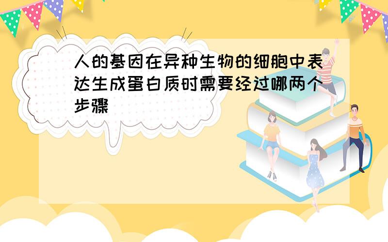 人的基因在异种生物的细胞中表达生成蛋白质时需要经过哪两个步骤