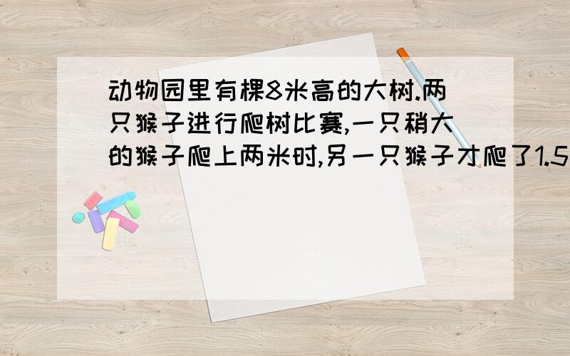 动物园里有棵8米高的大树.两只猴子进行爬树比赛,一只稍大的猴子爬上两米时,另一只猴子才爬了1.5米.稍大的猴子先爬上树顶