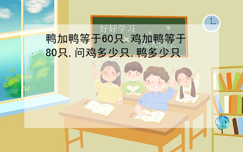 鸭加鸭等于60只,鸡加鸭等于80只,问鸡多少只,鸭多少只