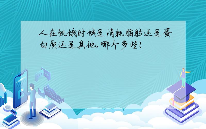 人在饥饿时候是消耗脂肪还是蛋白质还是其他,哪个多些?