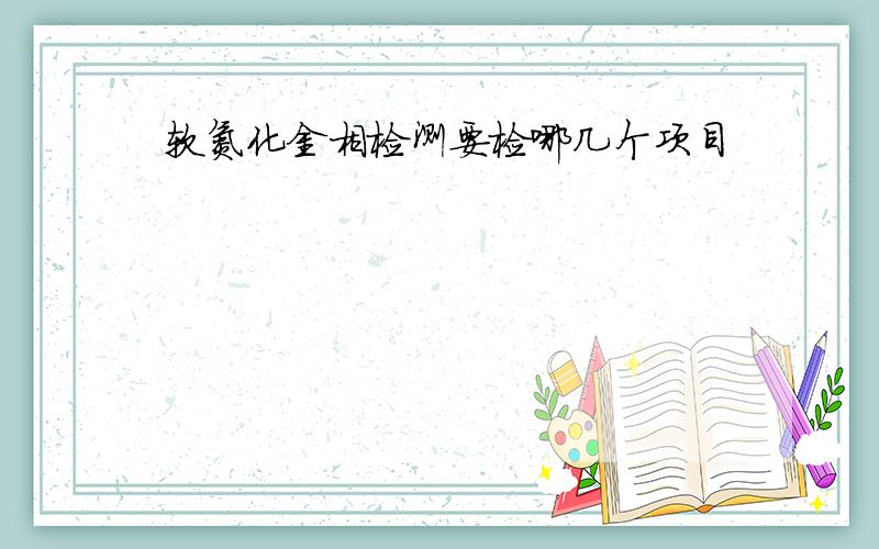 软氮化金相检测要检哪几个项目