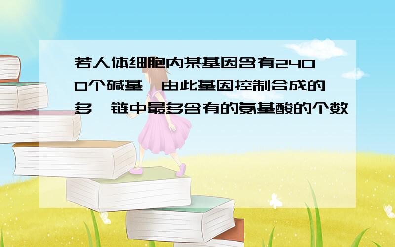 若人体细胞内某基因含有2400个碱基,由此基因控制合成的多肽链中最多含有的氨基酸的个数