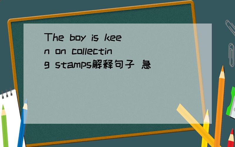 The boy is keen on collecting stamps解释句子 急