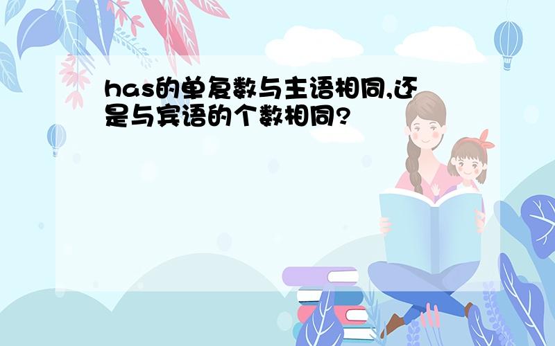 has的单复数与主语相同,还是与宾语的个数相同?