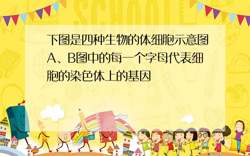 下图是四种生物的体细胞示意图A、B图中的每一个字母代表细胞的染色体上的基因