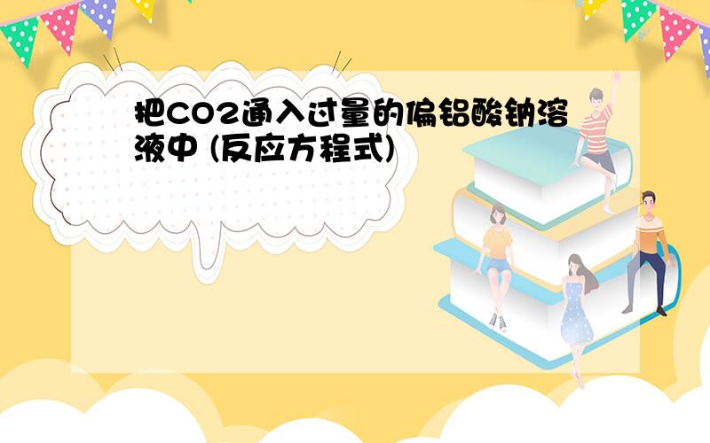 把CO2通入过量的偏铝酸钠溶液中 (反应方程式)