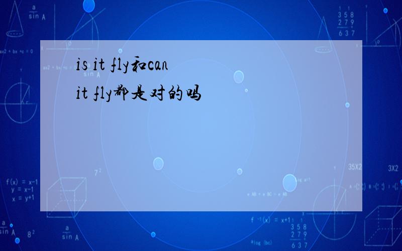 is it fly和can it fly都是对的吗