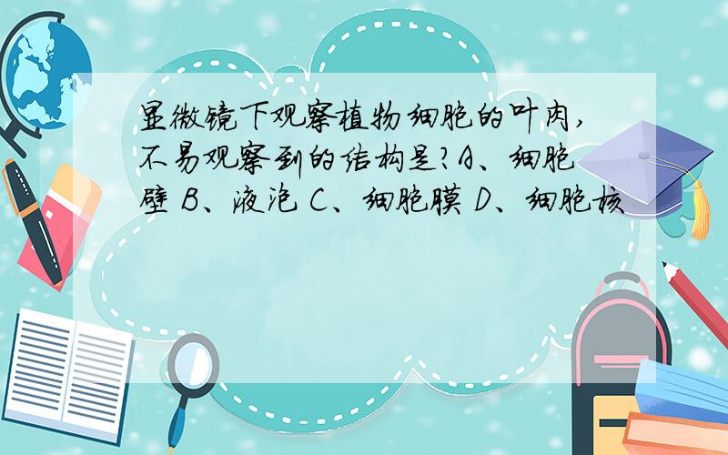 显微镜下观察植物细胞的叶肉,不易观察到的结构是?A、细胞壁 B、液泡 C、细胞膜 D、细胞核