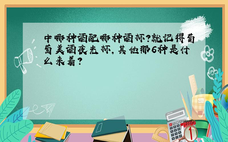 中哪种酒配哪种酒杯?就记得葡萄美酒夜光杯,其他那6种是什么来着?