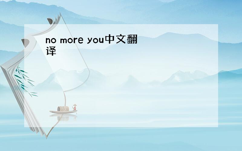 no more you中文翻译