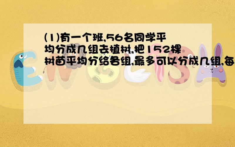 (1)有一个班,56名同学平均分成几组去植树,把152棵树苗平均分给各组,最多可以分成几组,每组分几棵树苗?